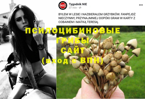MESCALINE Алексеевка