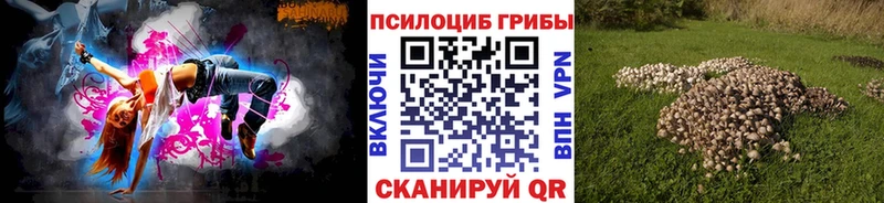 Псилоцибиновые грибы Psilocybine cubensis Купить Ростов-на-Дону